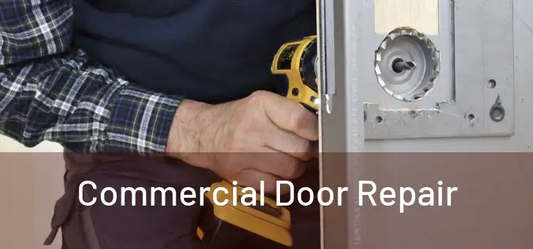 Commercial Door Repair